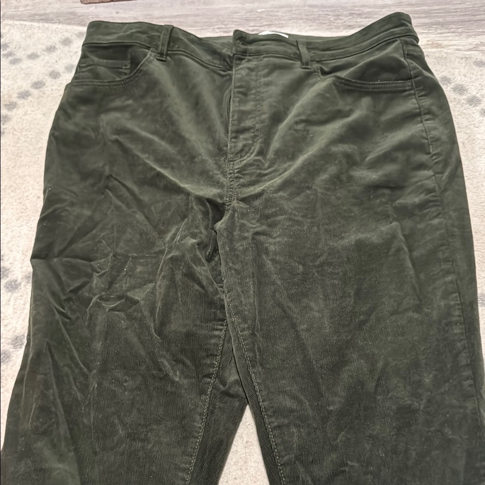 LOFT Women's Dark Green Skinny Pants